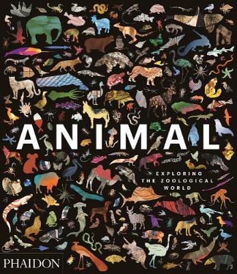 Animal: Exploring the Zoological World