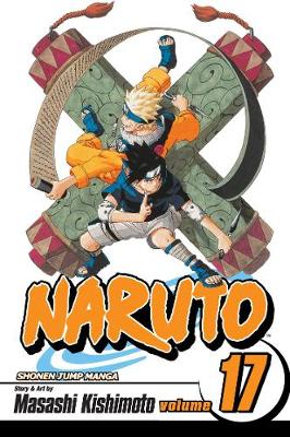 Naruto, Vol. 17 (Trade Paperback)