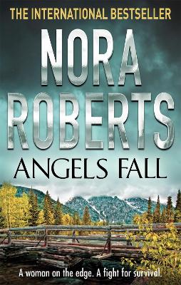 Angels Fall (Paperback)