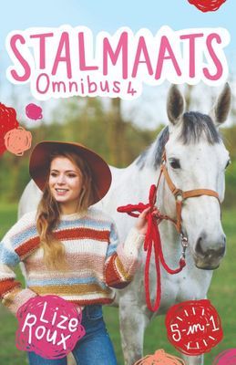 Stalmaats Omnibus 4 (Boek 16-20)
