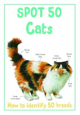 Spot 50 Cats