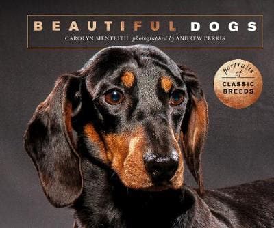 Beautiful Dogs: Portraits of champion breeds