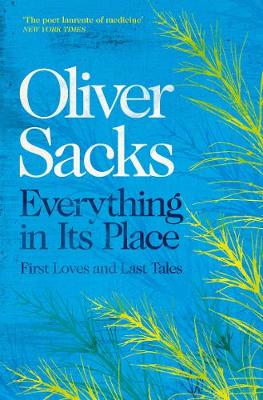 Everything In Its Place (Paperback)