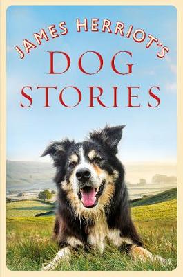 JAMES HERRIOT'S DOG STORIES PB