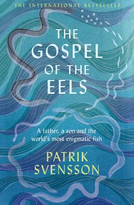 Gospel of The Eels (Hardcover)