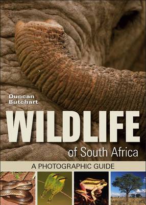Wildlife of South Africa (Paperback)