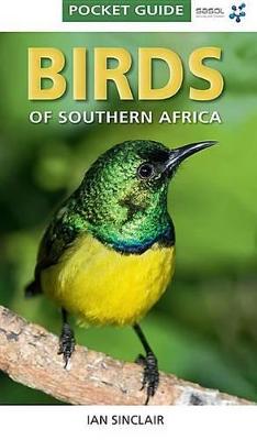Pocket Guide: Birds Of Southern Africa (Paperback)