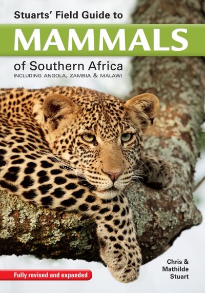 Stuart's field guide to mammals of southern Africa: Including Angola, Zambia & Malawi (Revised & Expanded Edition) (Paperback)