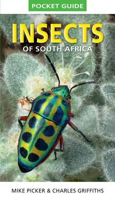 Insects Of South Africa (Paperback)