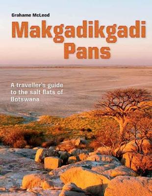 Makgadikgadi Pans: A Traveller's guide to the salt flats of Botswana