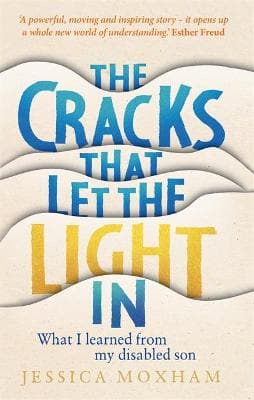 CRACKS THAT LET THE LIGHT IN HB