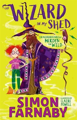 WIZARD IN MY SHED PB