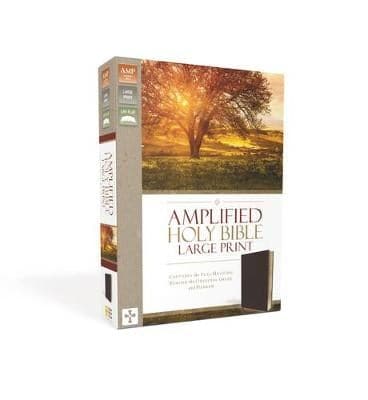 Amplified Holy Bible, Large Print, Bonded Leather, Burgundy: Captures the Full Meaning Behind the Original Greek and Hebrew