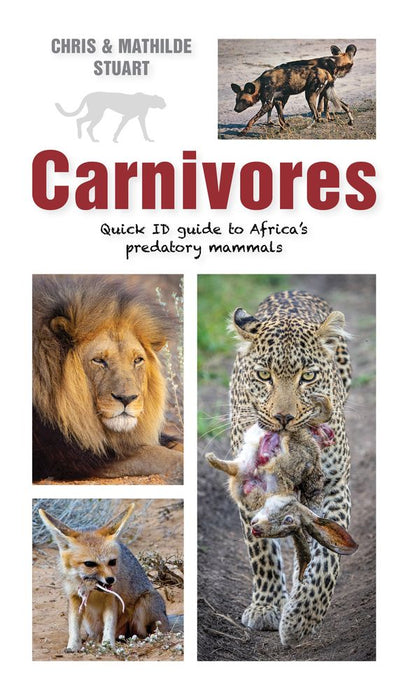 Carnivores: Quick ID Guide to Africa's Predatory Mammals (Paperback)