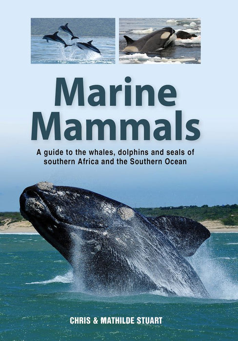 Marine Mammals: A Guide to the Whales, Dolphins and Seals of Southern Africa and the Southern Ocean (Paperback)