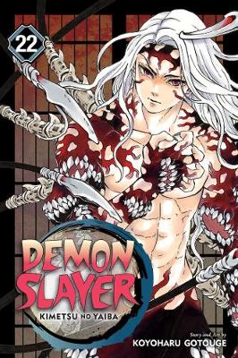 Demon Slayer: Kimetsu no Yaiba, Vol. 22 (Trade Paperback)