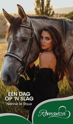 Een Dag Op 'n Slag (Paperback)
