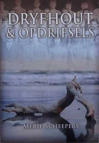 Dryfhout en opdrifsels
