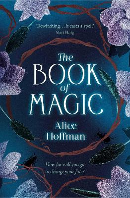 The Book of Magic (Paperback)