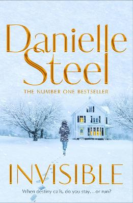 Invisible (Trade Paperback)