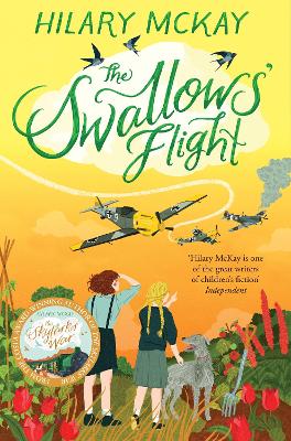 Swallows' Flight (Paperback)