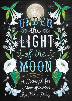 UNDER THE LIGHT OF THE MOON JOURNAL