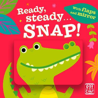 Ready Steady...Snap! (Board book)