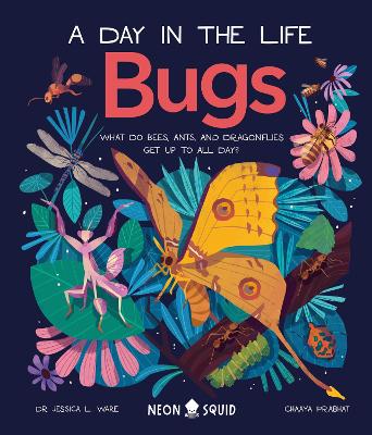 BUGS (DAY IN THE LIFE) HB