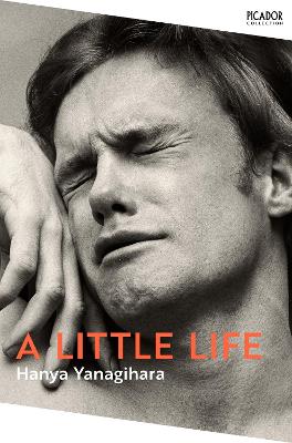 A Little Life (Paperback)