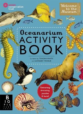 Oceanarium Activity (Paperback)