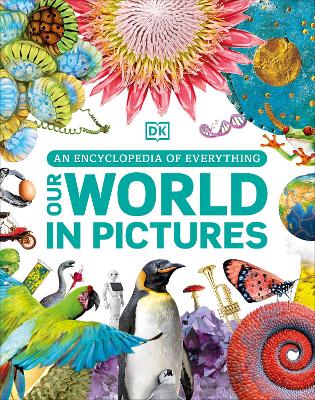 Our World In Pictures (Hardcover)