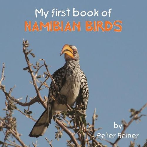 My First Book of Namibian Birds