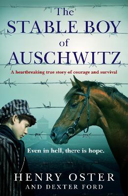 The Stable Boy of Auschwitz (Paperback)