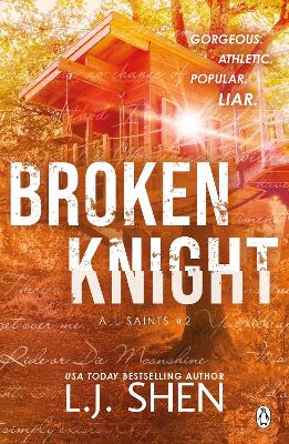Broken Knight (Paperback)