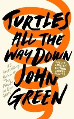 Turtles All The Way Down (Hardcover)
