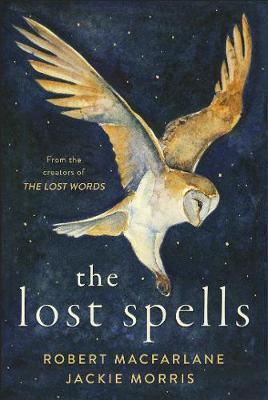 The Lost Spells (Hardcover)
