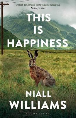 This Is Happiness (Paperback)