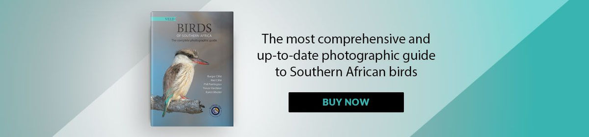 VELD Birds of Southern Africa | VELD Voëls van Suider-Afrika