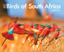 Birds of South Africa 2027