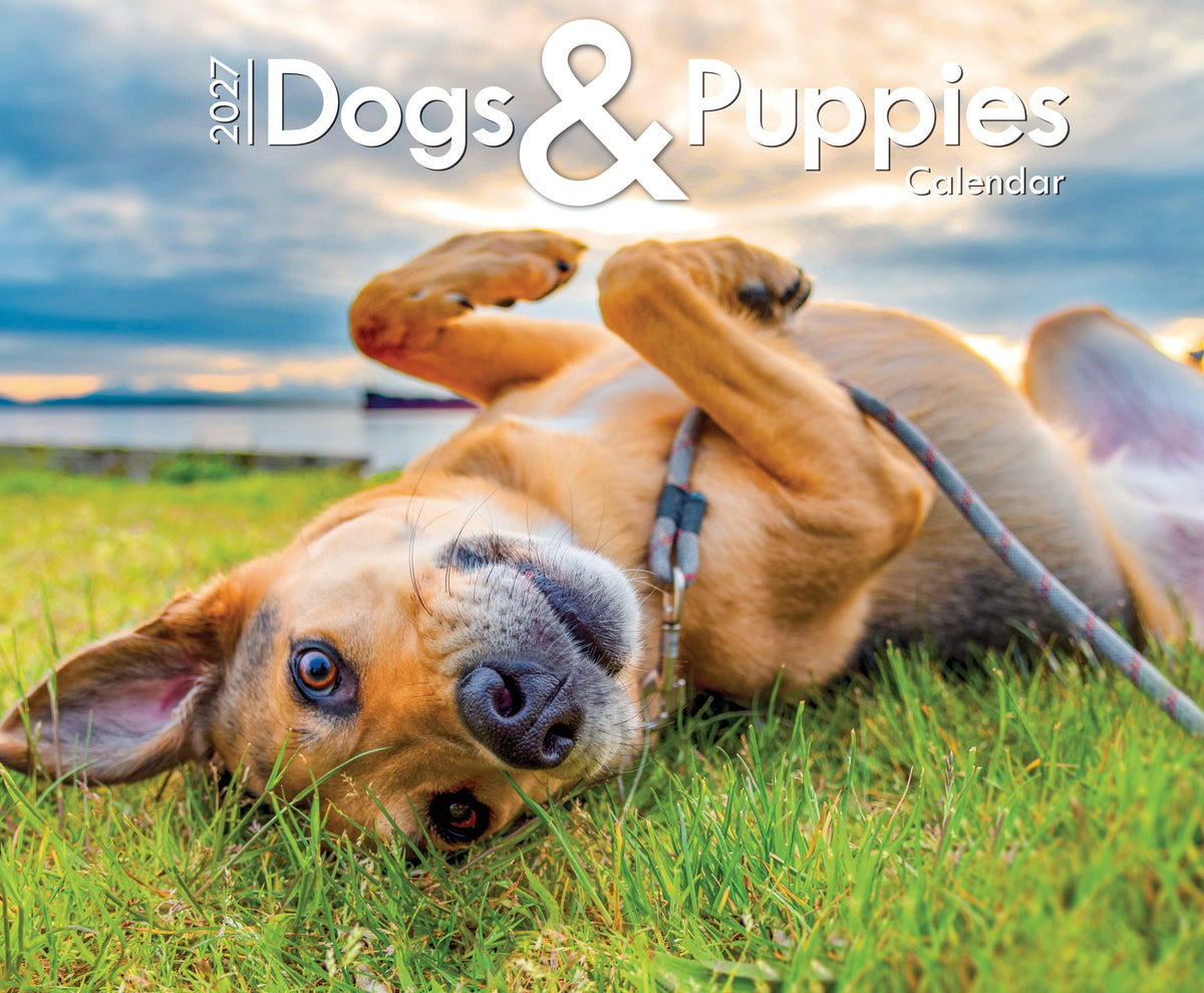 Dogs & Puppies Calendar 2027
