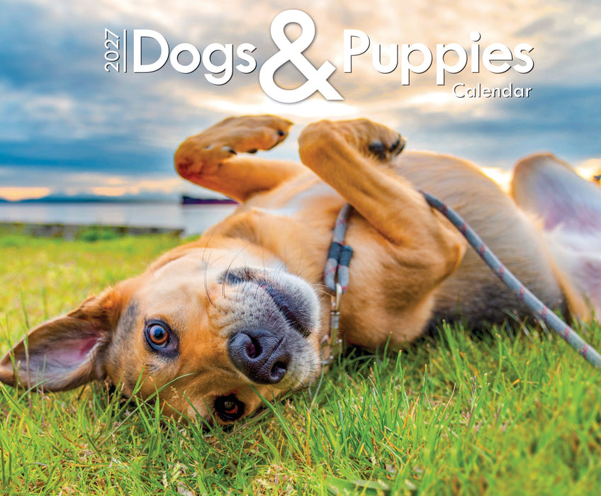 Dogs & Puppies Calendar 2027
