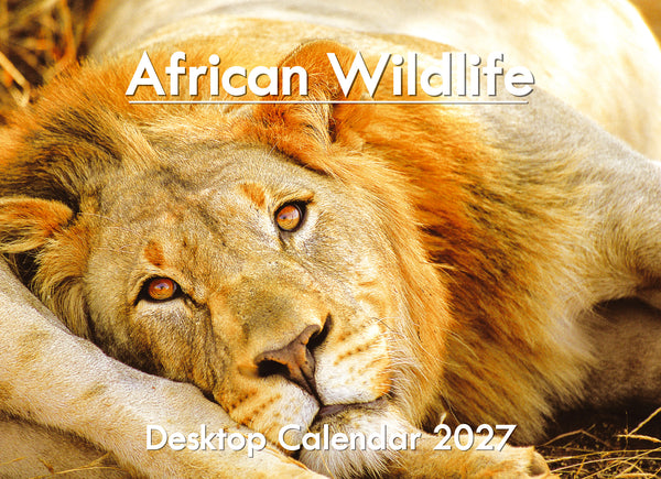 African Wildlife A5 Desktop Calendar 2027