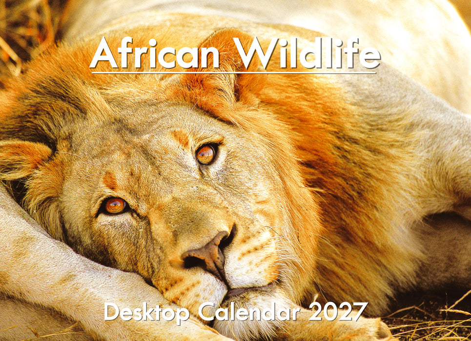 African Wildlife A5 Desktop Calendar 2027