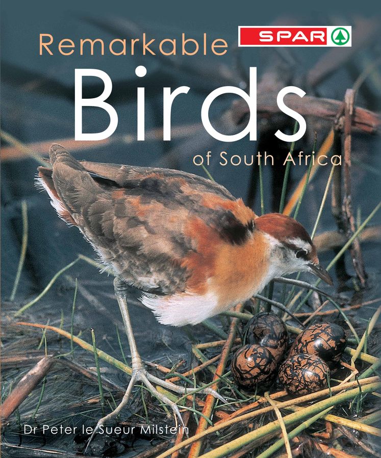 Remarkable Birds Of South Africa
