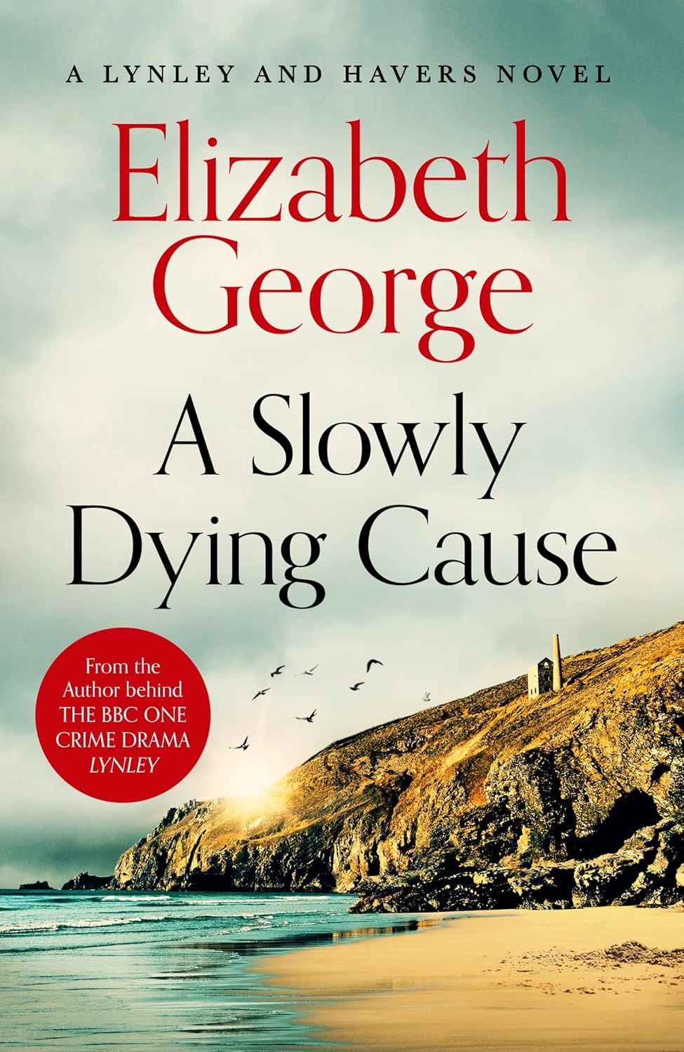 A Slowly Dying Cause (Trade Paperback)
