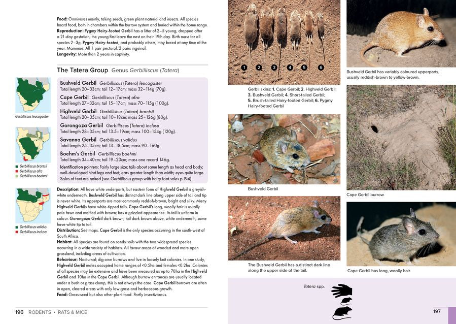 Stuarts' Field Guide to Mammals of Southern Africa NE (paperback)