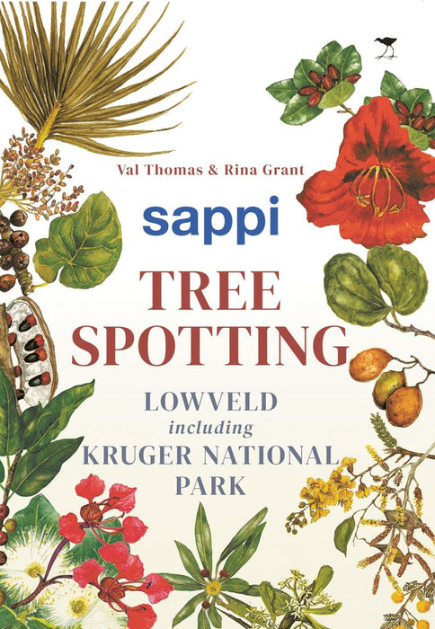 Sappi tree spotting: Lowveld (3rd Edition) (Paperback)