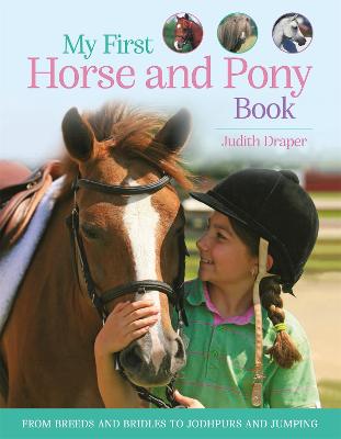 My First Horse and Pony Book (Paperback)