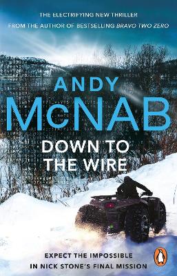 Nick Stone 21: Down To The Wire (Paperback)