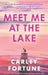 Meet Me at the Lake: The breathtaking new novel from the author of EVERY SUMMER AFTER